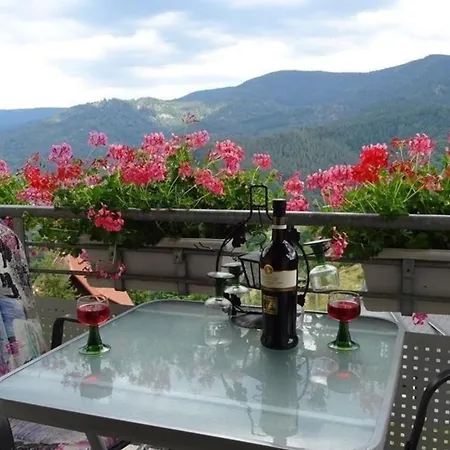 Mit Terrasse Und Panoramablick *